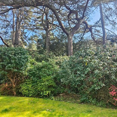 Peaceful Getaway In Forested Park Μπόρνμουθ Εξωτερικό φωτογραφία