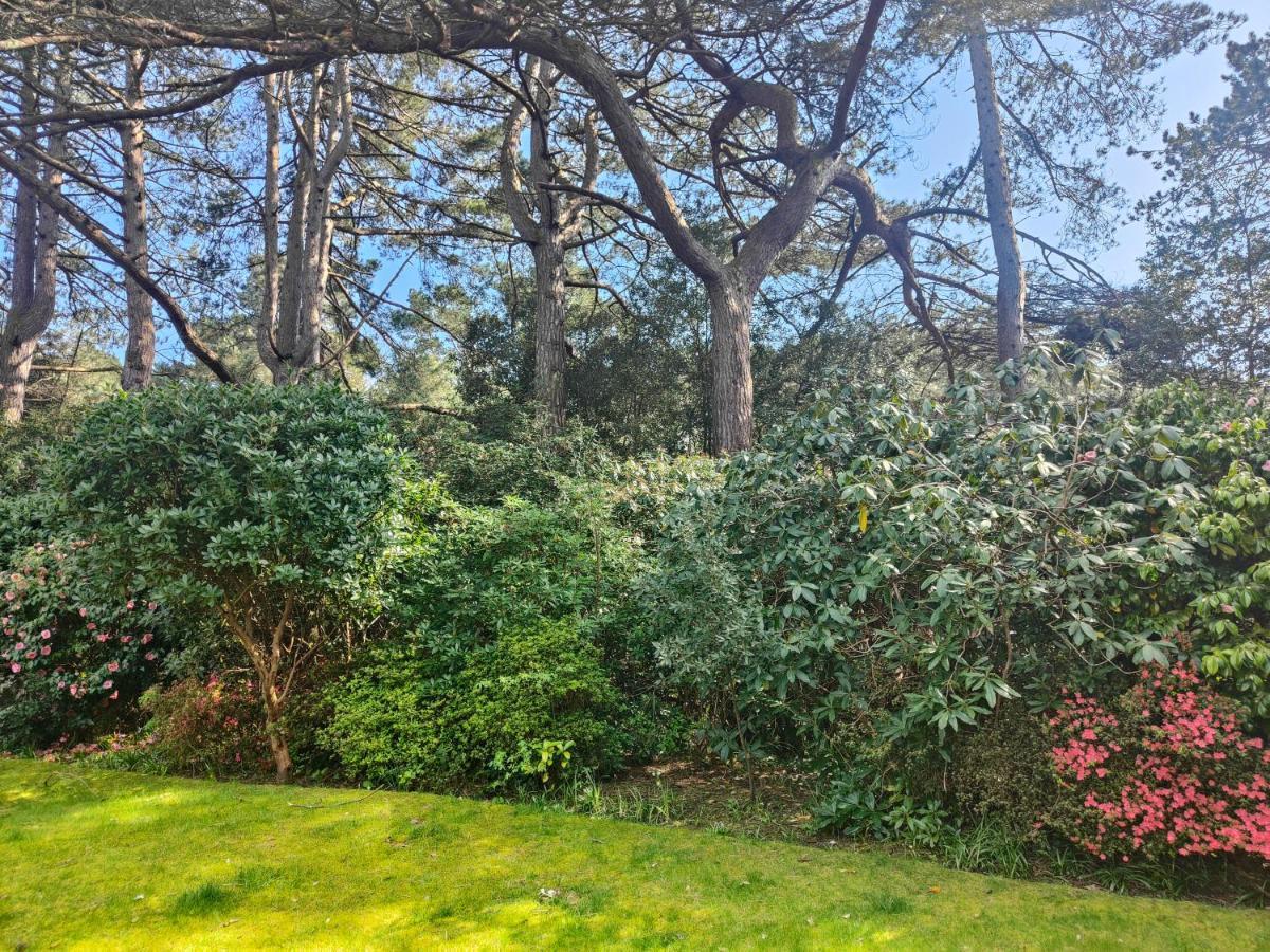 Peaceful Getaway In Forested Park Μπόρνμουθ Εξωτερικό φωτογραφία