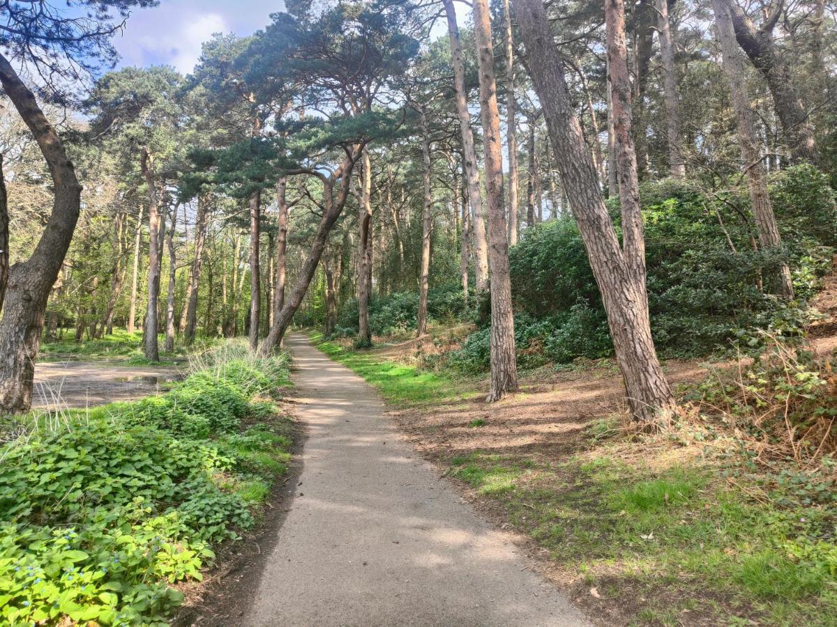 Peaceful Getaway In Forested Park Μπόρνμουθ Εξωτερικό φωτογραφία